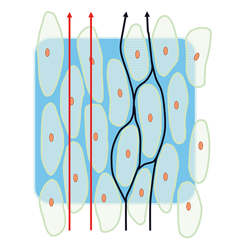 KFM bildeinstiege methodik BIA