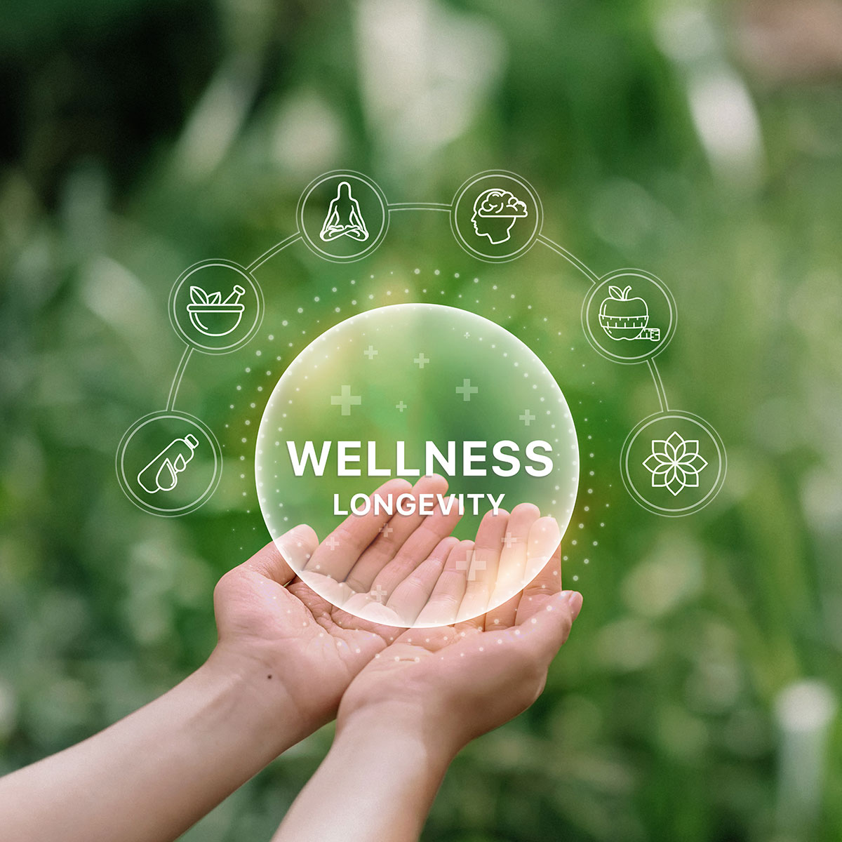 bilder partner vorabansichten dges wellness